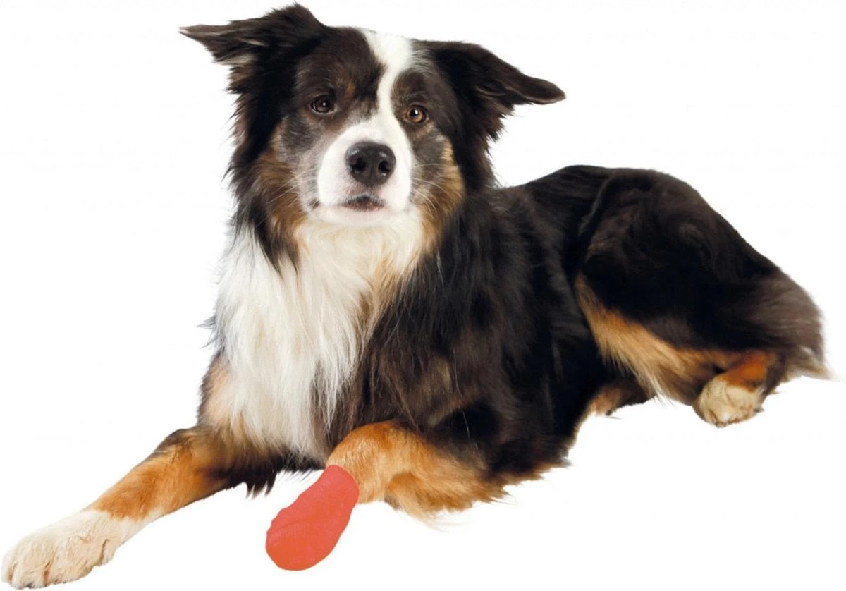 Trixie - Zelfklevend Verband - 5cm 4,5mtr - 4st - Image 3