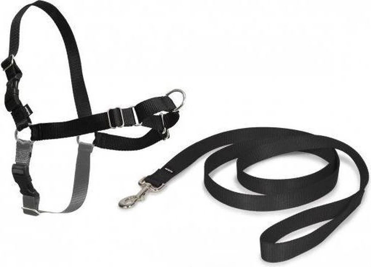 PetSafe Easy Walk® Deluxe Harness - Hondentuig - Blauw - L -1,8 M - Image 14