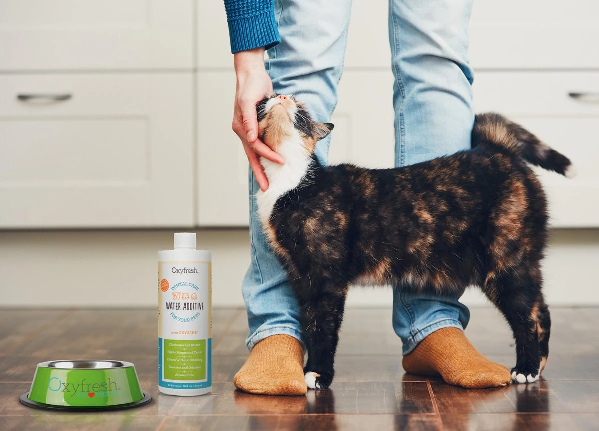 OxyFresh Pet Mondwater Hond En Kat. Helpt Tegen Tandsteen, Plak En Vieze Ademgeurtjes - Image 3