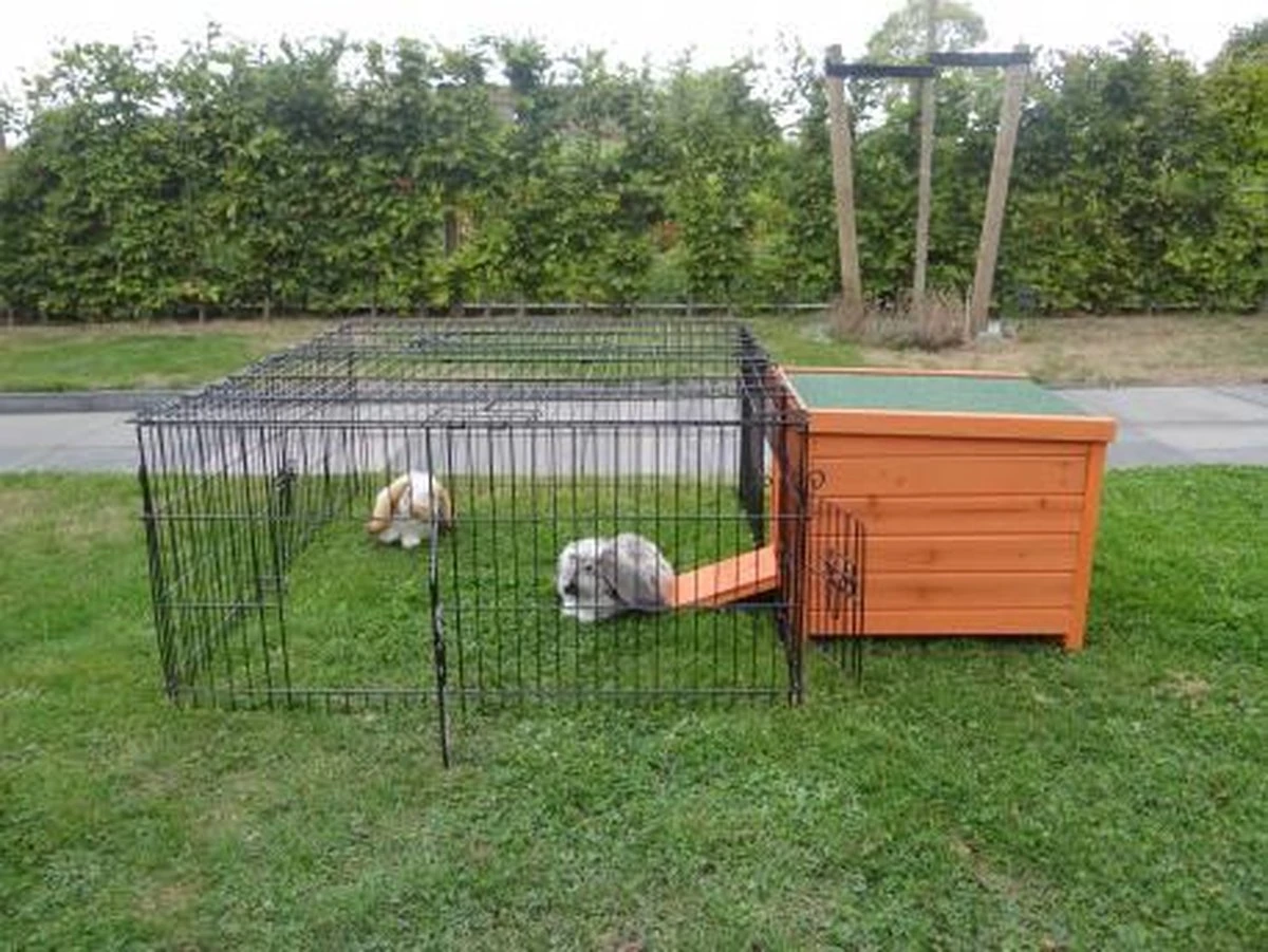 Nachthok KT10 - Image 3