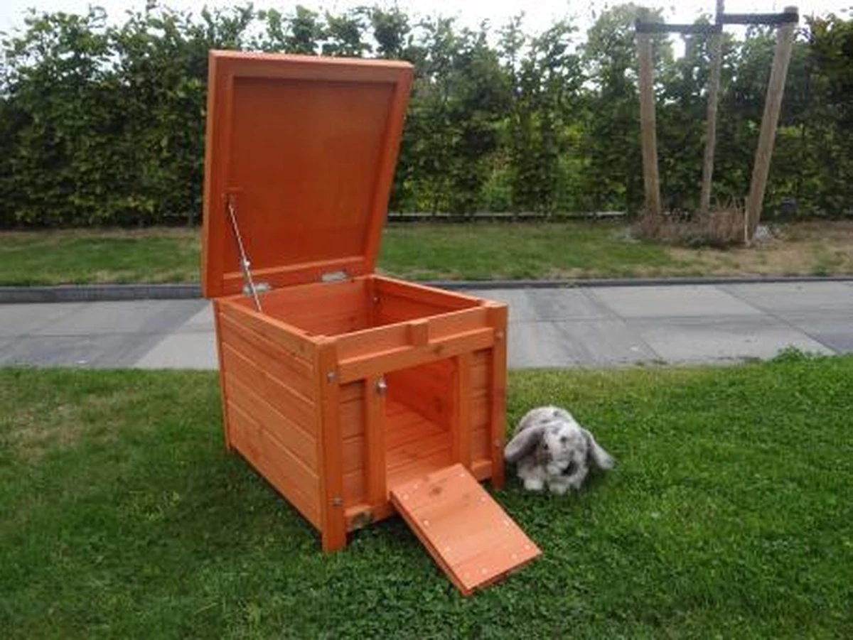 Nachthok KT10 - Image 7