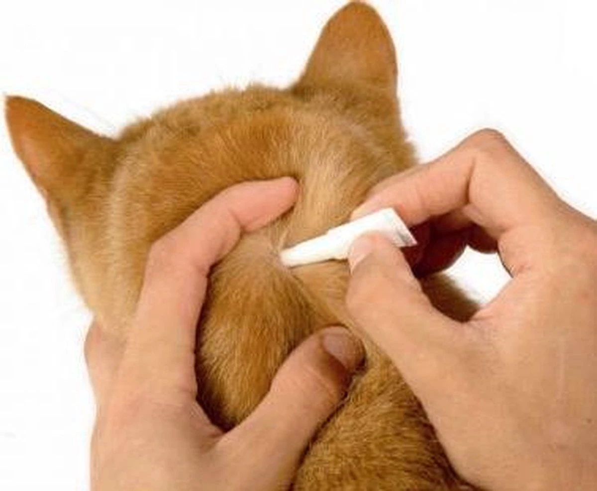 Frontline Spot-On Anti Vlooienmiddel Kat - 6 Pipetten - Image 6