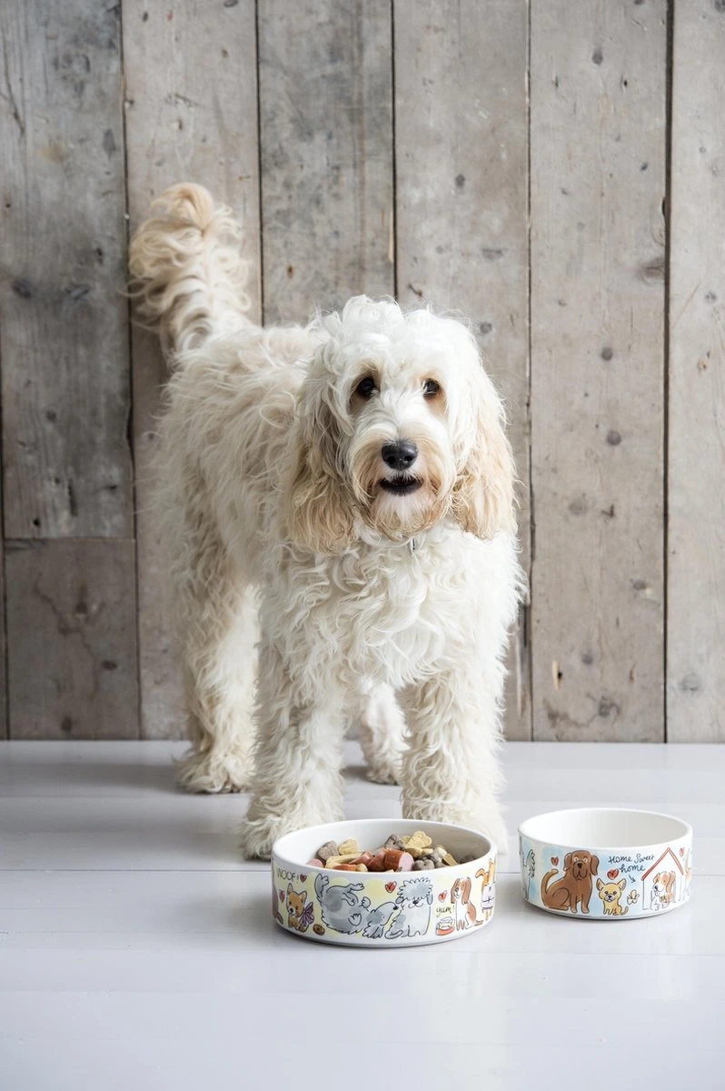 Blond Amsterdam - Dier - Voerbak - Hond - Ø 15.5 Cm - Image 7